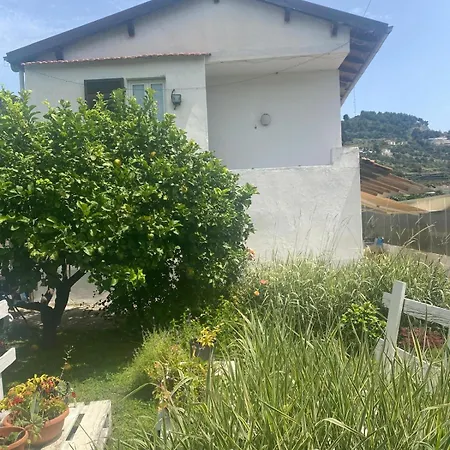 Casa Adriana Daire Taggia